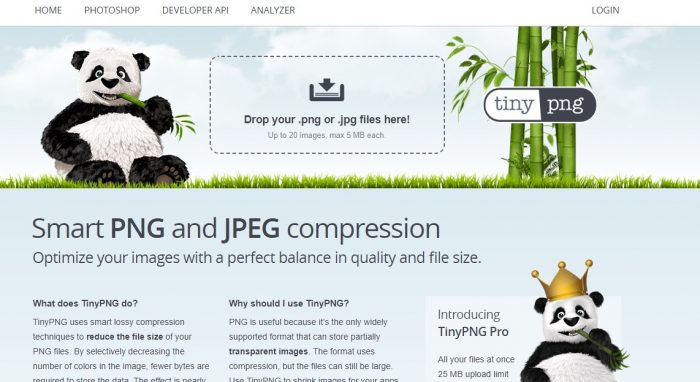 How-to-Optimize-Images-in-WordPress-with-tinypng